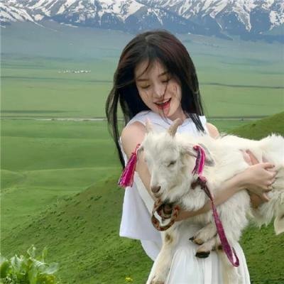 构想完美